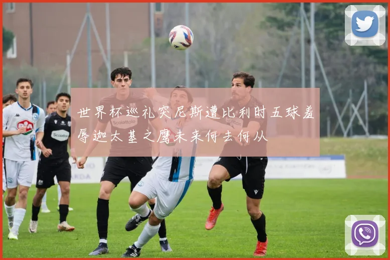 世界杯巡礼突尼斯遭比利时五球羞辱迦太基之鹰未来何去何从