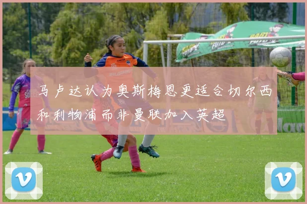 马卢达认为奥斯梅恩更适合切尔西和利物浦而非曼联加入英超