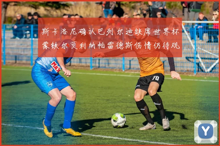 斯卡洛尼确认巴列尔迪缺席世界杯蒙铁尔莫利纳帕雷德斯伤情仍待观察